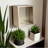 14" Champagne Wood Box Framed Accent Mirror - Homeroots - Flyclothing LLC