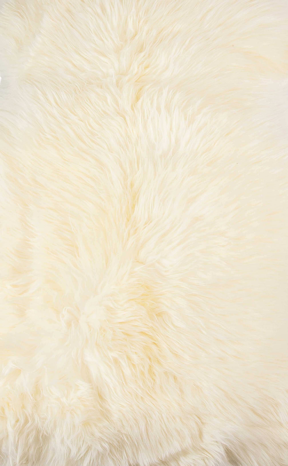 2' X 3' Ivory New Zealand Natural Sheepskin Rug - Homeroots - Flyclothing LLC