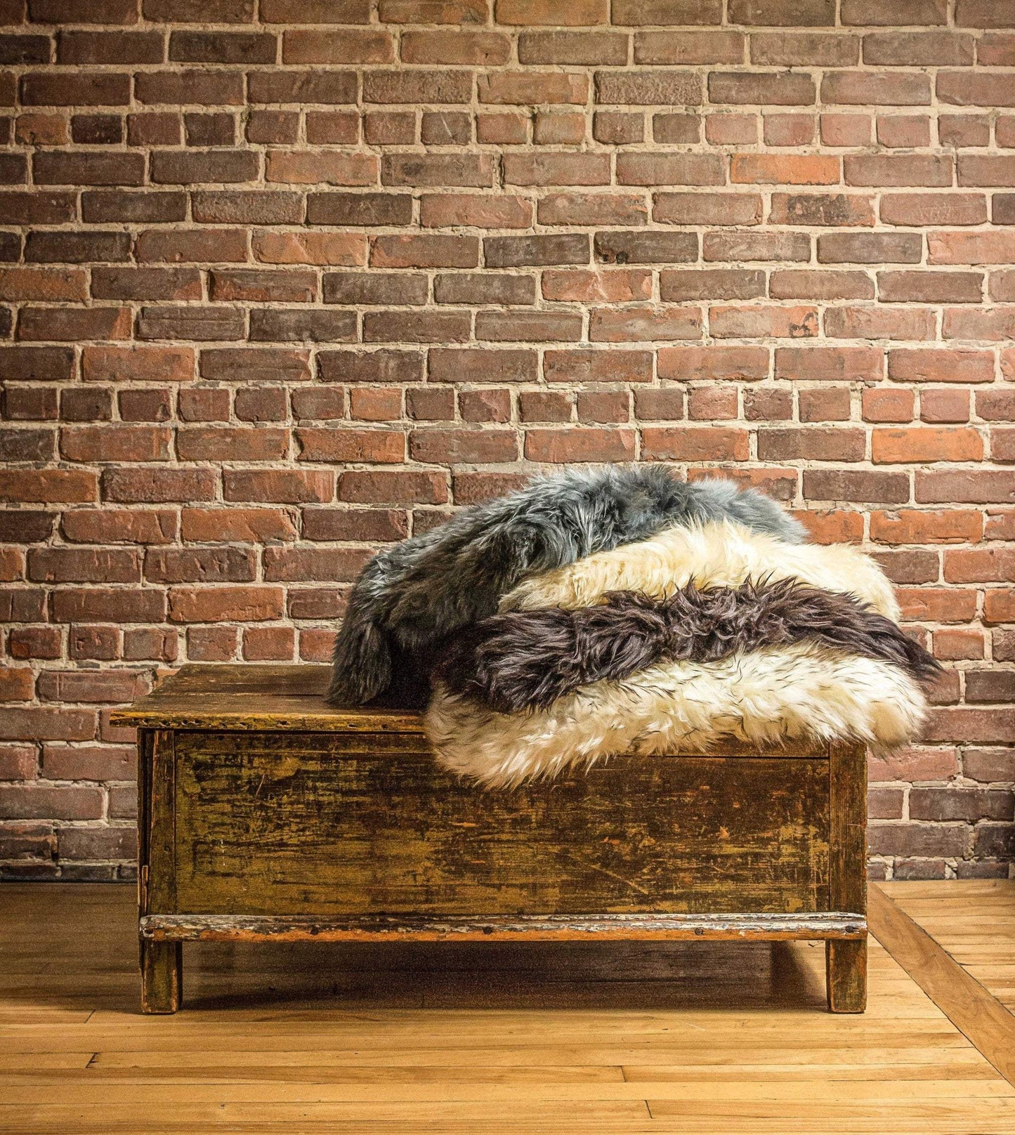 2' X 3' Black New Zealand Natural Sheepskin Rug - Homeroots - Flyclothing LLC