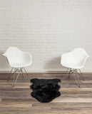 2' X 3' Black New Zealand Natural Sheepskin Rug - Homeroots - Flyclothing LLC