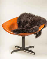 2' X 3' Chocolate New Zealand Natural Sheepskin Rug - Homeroots - Flyclothing LLC