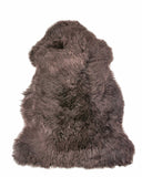 2' X 3' Chocolate New Zealand Natural Sheepskin Rug - Homeroots - Flyclothing LLC