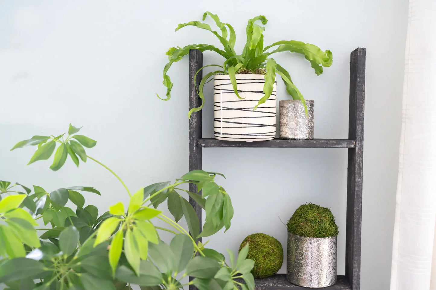 4 Step Rustic Black Wood Ladder Shelf - Homeroots - Flyclothing LLC