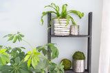 4 Step Rustic Black Wood Ladder Shelf - Homeroots - Flyclothing LLC