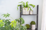 4 Step Rustic Black Wood Ladder Shelf - Homeroots
