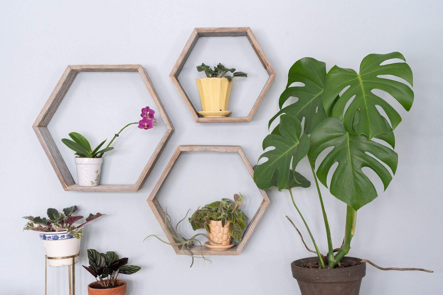 Set Of 3 Hexagon Rustic Natural Weathered Grey Wood Open Box Shelve - Homeroots - Flyclothing LLC