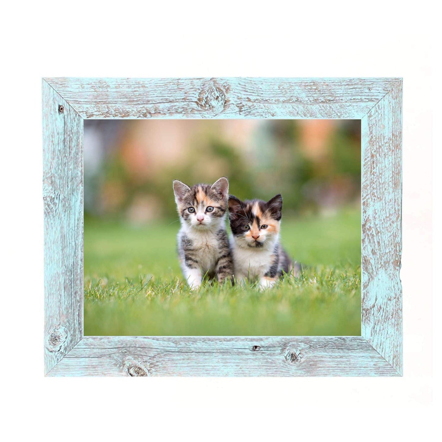 12 X 12 Rustic Blue Picture Frame - Homeroots - Flyclothing LLC