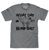 What Day Is It? Hump Day Camel T-Shirt - Gray