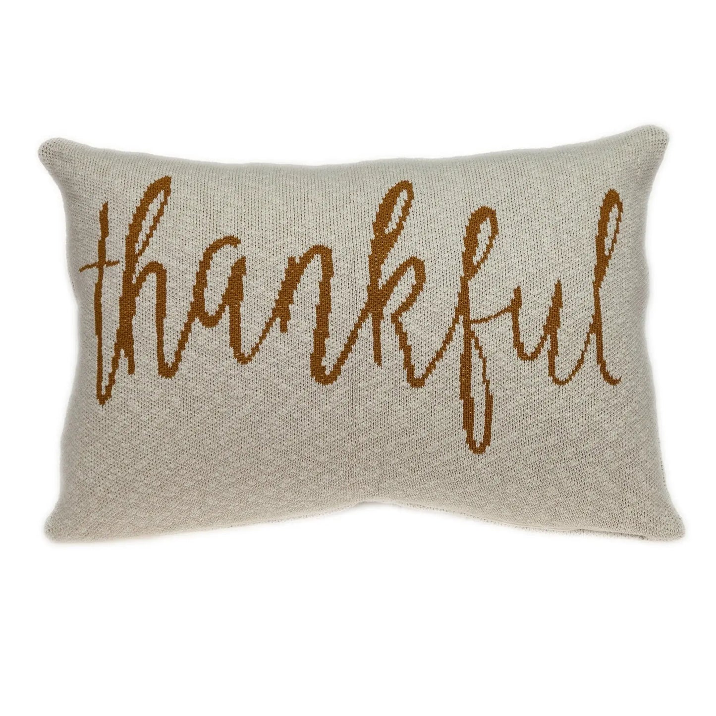 Thankful Decorative Pillow - Homeroots - Flyclothing LLC