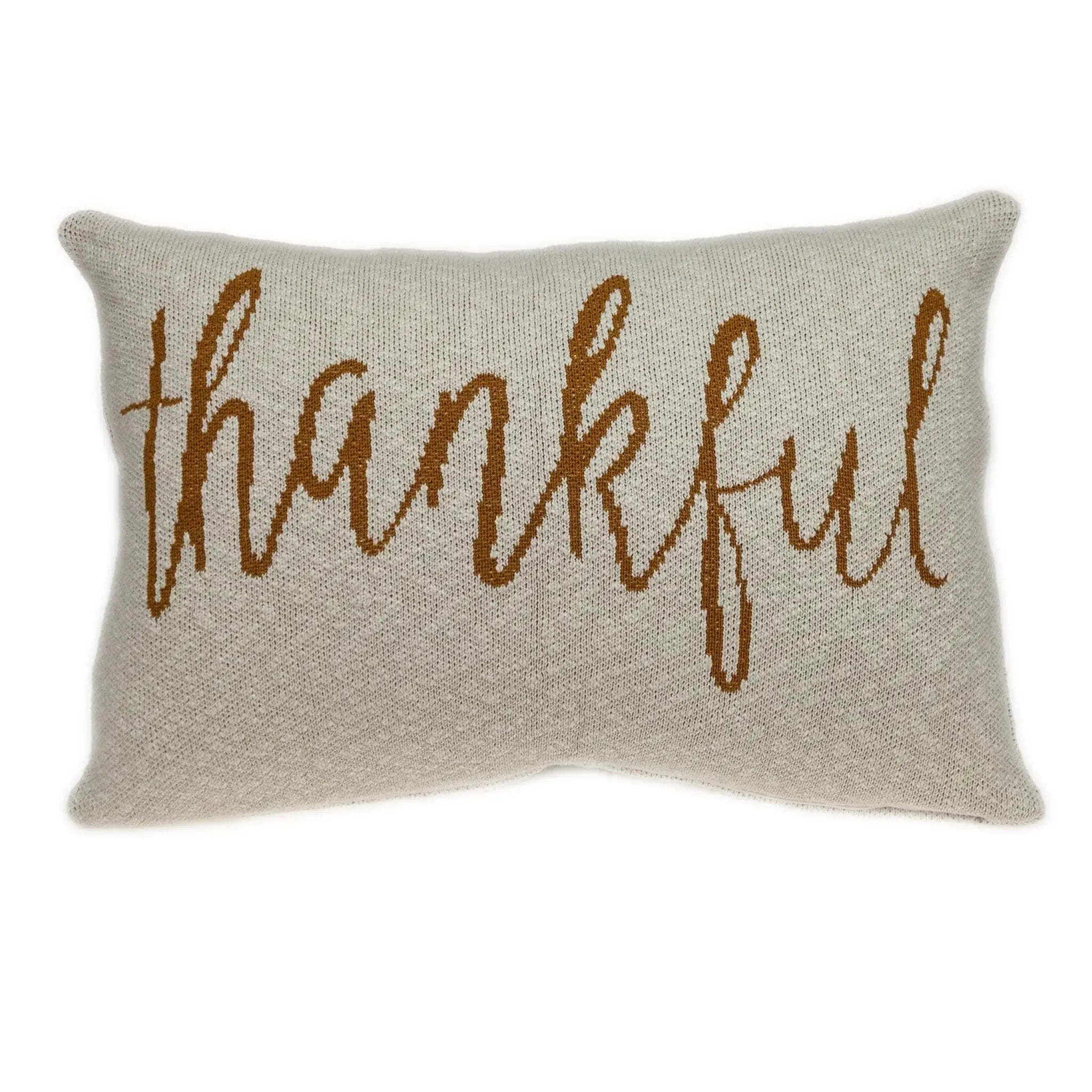 Thankful Decorative Pillow - Homeroots - Flyclothing LLC