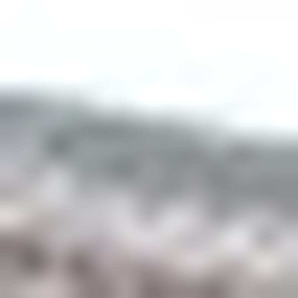 Grey Lots Of Zebras Woven Knitted Baby Blanket - Homeroots - Flyclothing LLC