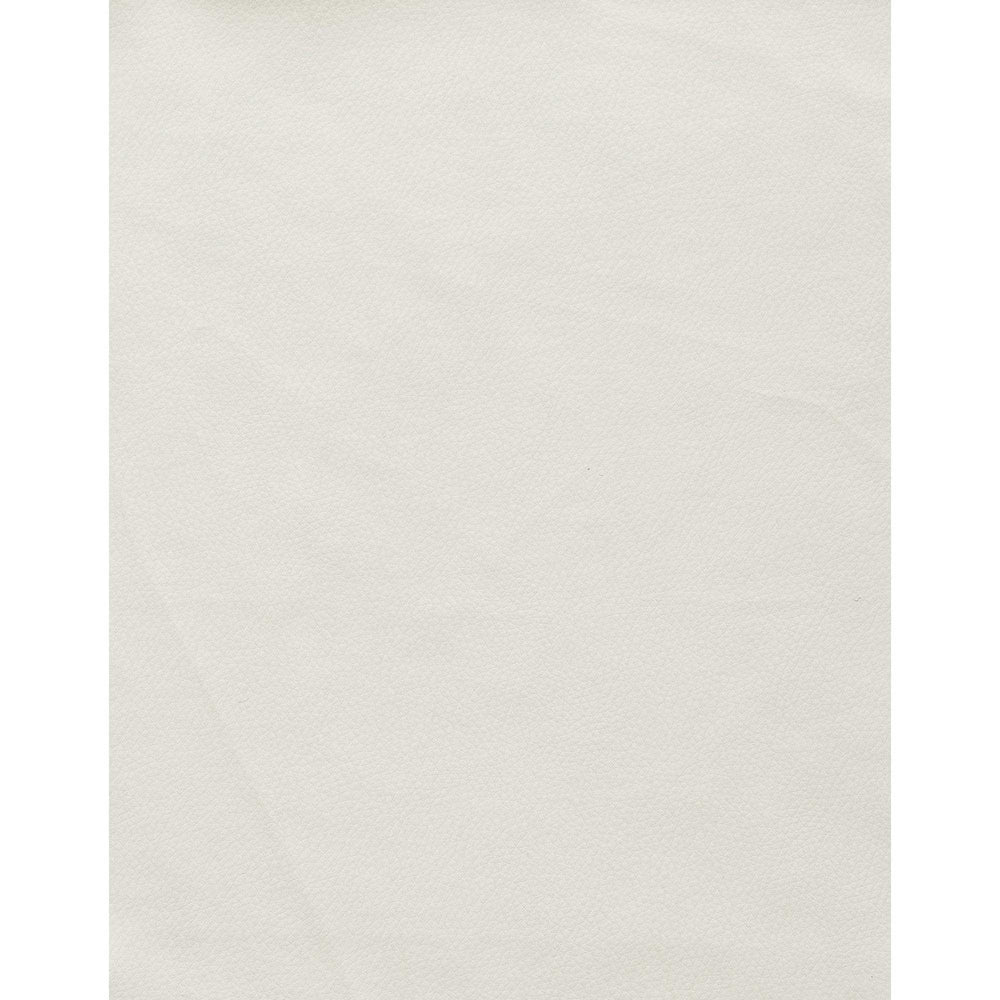 Set Of 2 Modern White Dining Chairs With Horse Shoe Style Metal Base - Homeroots - Flyclothing LLC