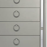 33" Silver Solid Wood Mirrored Five Drawer - Homeroots