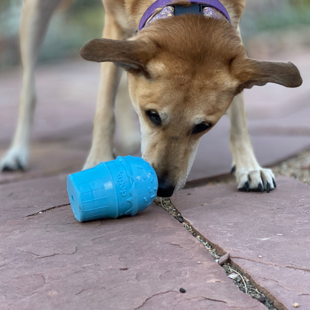 Ice Cream Cone Rubber Dog Chew Toy | Treat Dispenser | USA Made | SodaPup - SodaPup/True Dogs, LLC - Flyclothing LLC