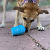 Ice Cream Cone Rubber Dog Chew Toy | Treat Dispenser | USA Made | SodaPup - SodaPup/True Dogs, LLC - Flyclothing LLC