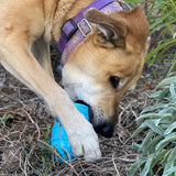 Ice Cream Cone Rubber Dog Chew Toy | Treat Dispenser | USA Made | SodaPup - SodaPup/True Dogs, LLC - Flyclothing LLC