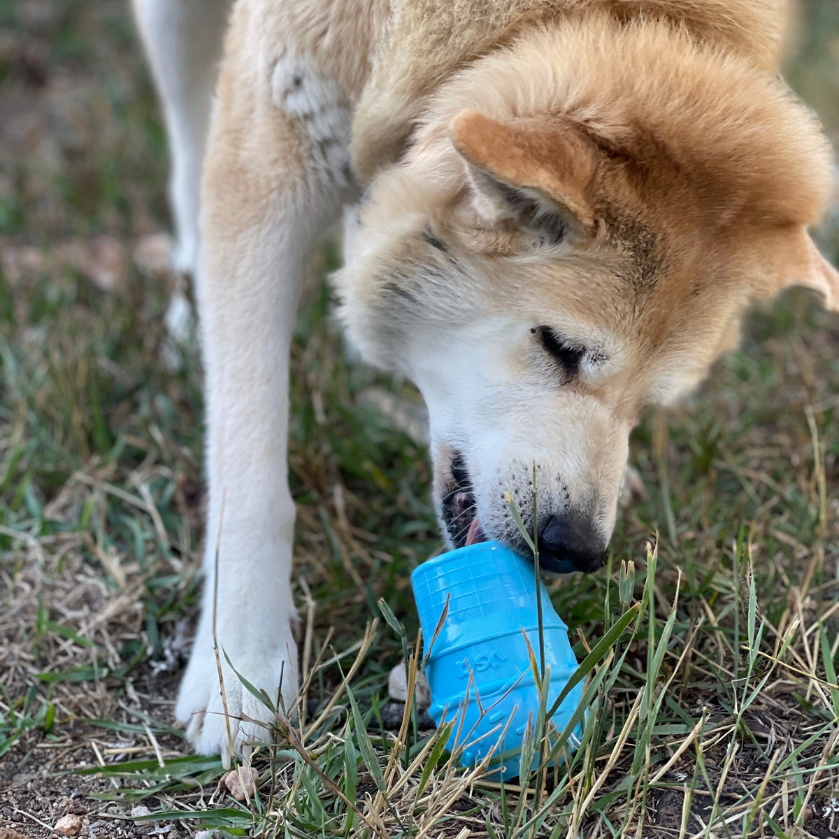 Ice Cream Cone Rubber Dog Chew Toy | Treat Dispenser | USA Made | SodaPup - SodaPup/True Dogs, LLC - Flyclothing LLC