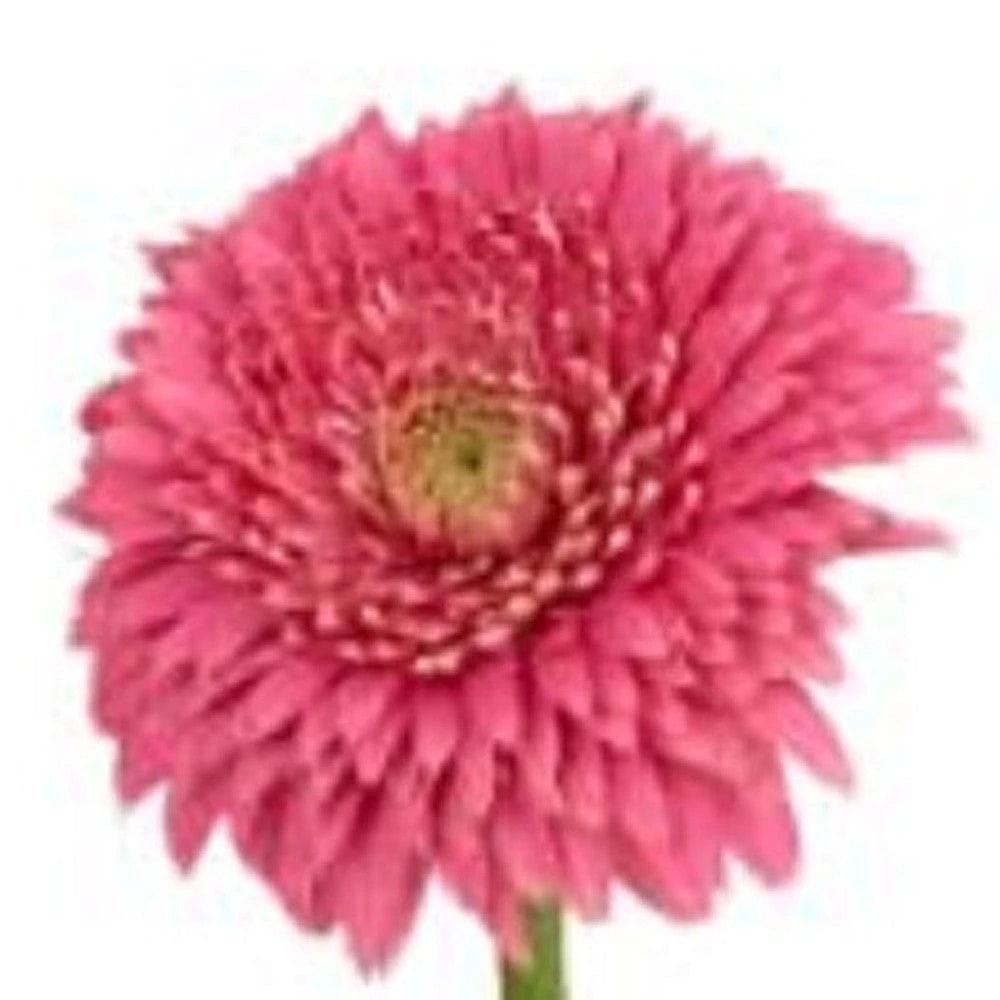 6" Clear Crystal Glass Square Table Vase - Homeroots