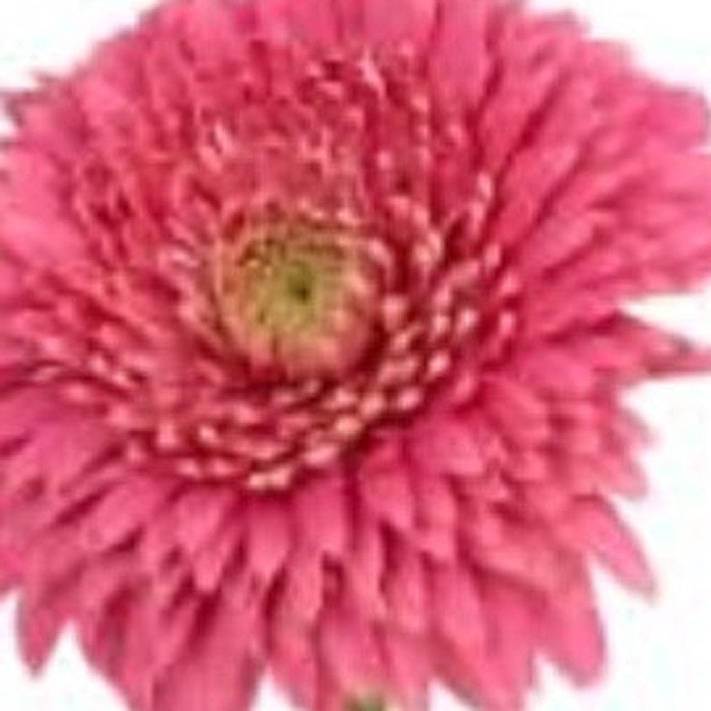 6" Clear Crystal Glass Square Table Vase - Homeroots