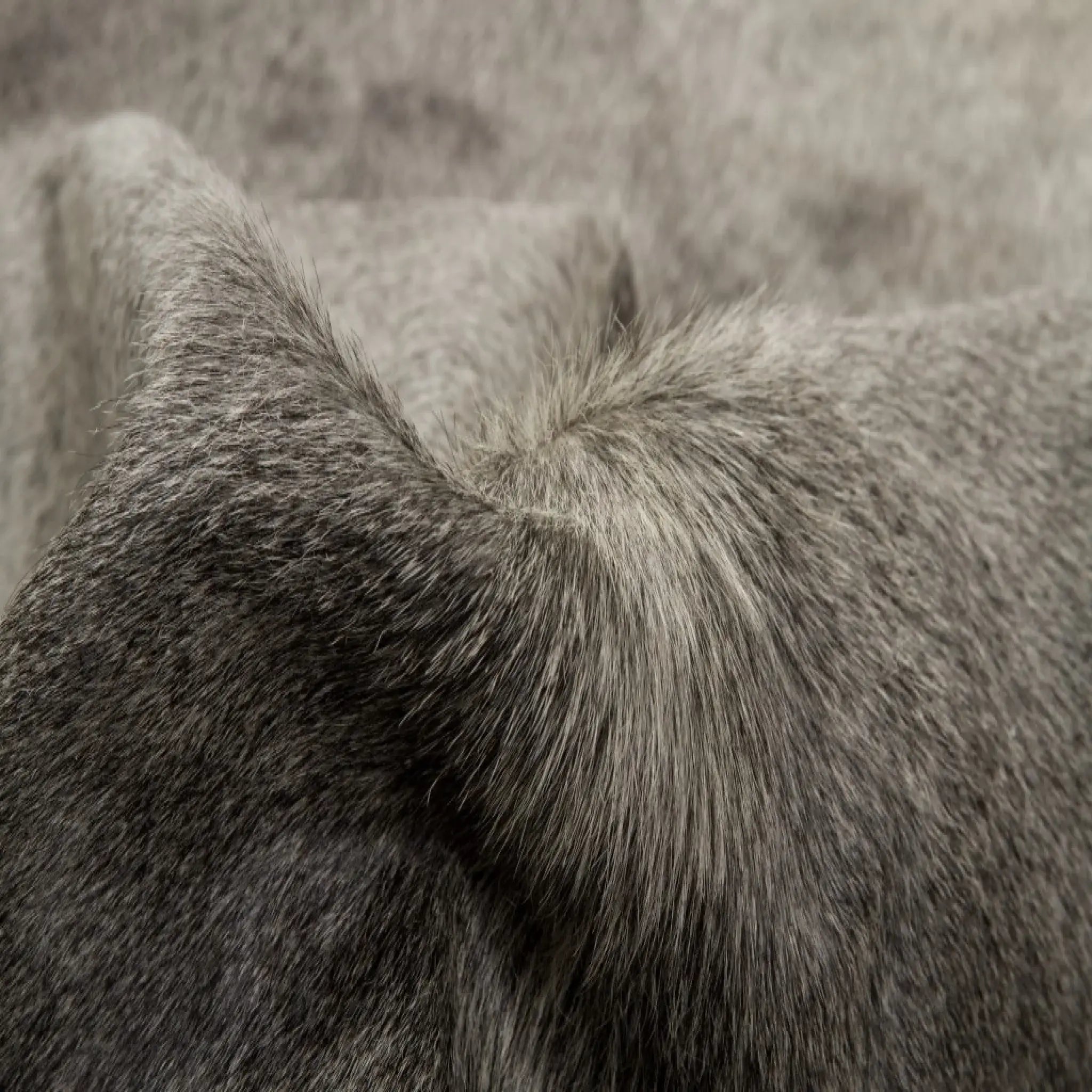 6' X 7' Gray Natural Cowhide Area Rug - Homeroots - Flyclothing LLC