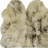 3' X 5' Brown Ombre Natural Sheepskin Area Rug - Homeroots - Flyclothing LLC