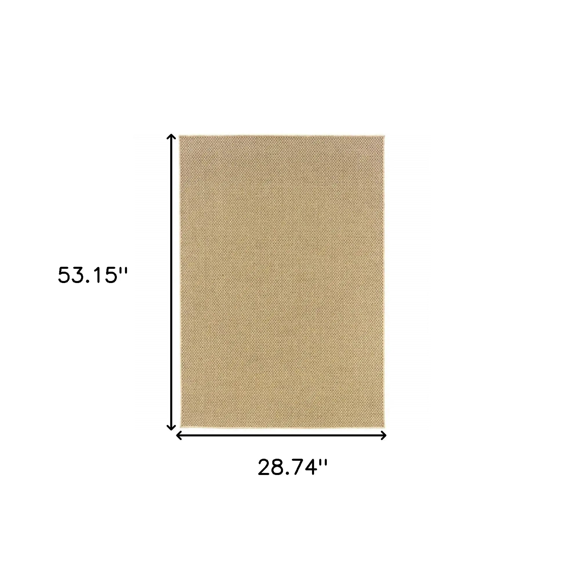 2' X 4' Beige Indoor Outdoor Area Rug - Homeroots - Flyclothing LLC