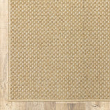2' X 4' Beige Indoor Outdoor Area Rug - Homeroots - Flyclothing LLC