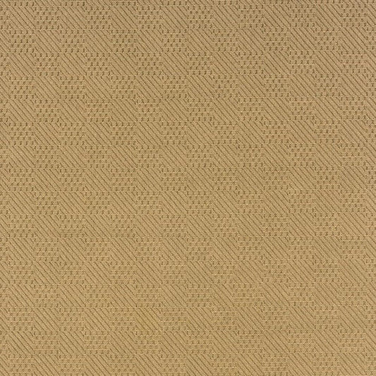 2' X 4' Beige Indoor Outdoor Area Rug