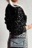 Sequin Round Neck Long Sleeve Blouse - Trendsi - Flyclothing LLC