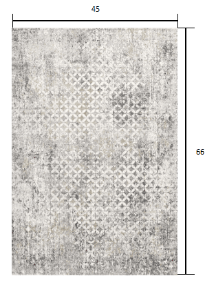 4' X 6' Gray And Ivory Distressed Area Rug - Homeroots - Flyclothing LLC