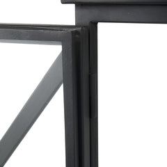 Slender Sleek Black Two Door Glass Cabinet - Homeroots