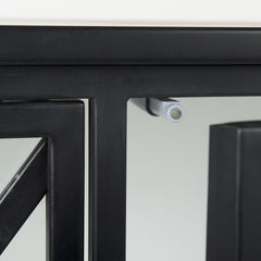 Slender Sleek Black Two Door Glass Cabinet - Homeroots