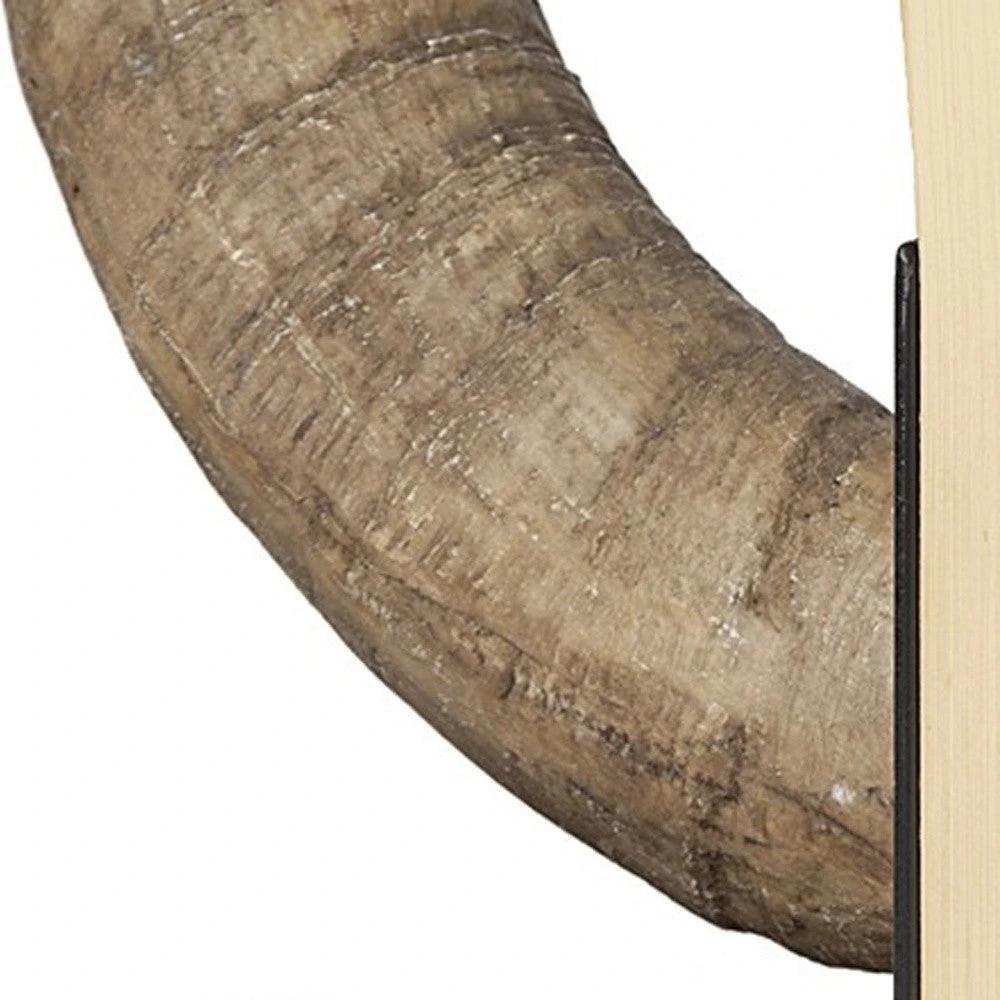 Bull Horn Replica Bookends - Homeroots - Flyclothing LLC