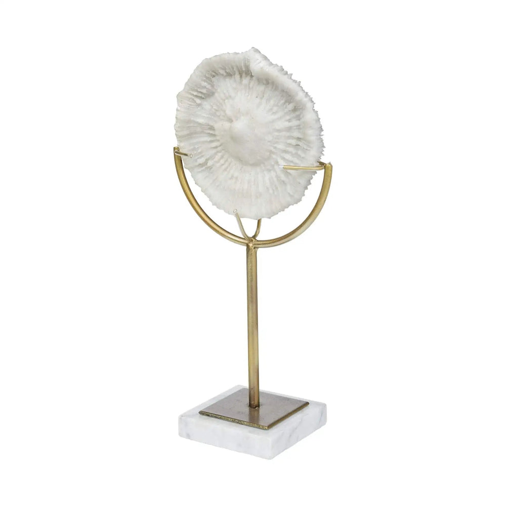 15" Gold and White Metal and Resin Sand Dollar Tabletop Sculpture - Homeroots - Flyclothing LLC