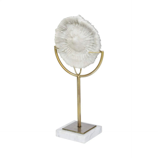 15" Gold and White Metal and Resin Sand Dollar Tabletop Sculpture - Homeroots