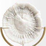 15" Gold and White Metal and Resin Sand Dollar Tabletop Sculpture - Homeroots