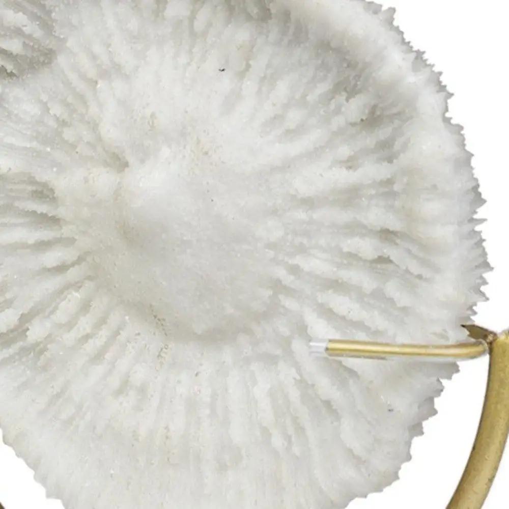 15" Gold and White Metal and Resin Sand Dollar Tabletop Sculpture - Homeroots - Flyclothing LLC