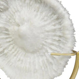 15" Gold and White Metal and Resin Sand Dollar Tabletop Sculpture - Homeroots