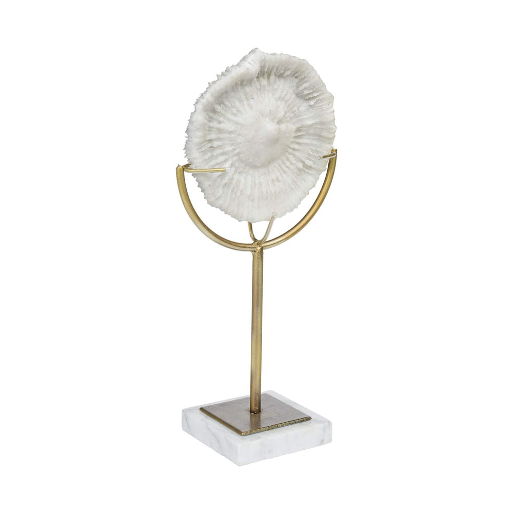 15" Gold and White Metal and Resin Sand Dollar Tabletop Sculpture - Homeroots - Flyclothing LLC