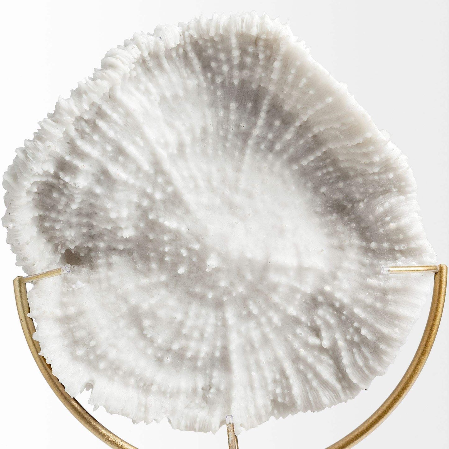 Petite White And Gold Coastal Sculpture - Homeroots - Flyclothing LLC