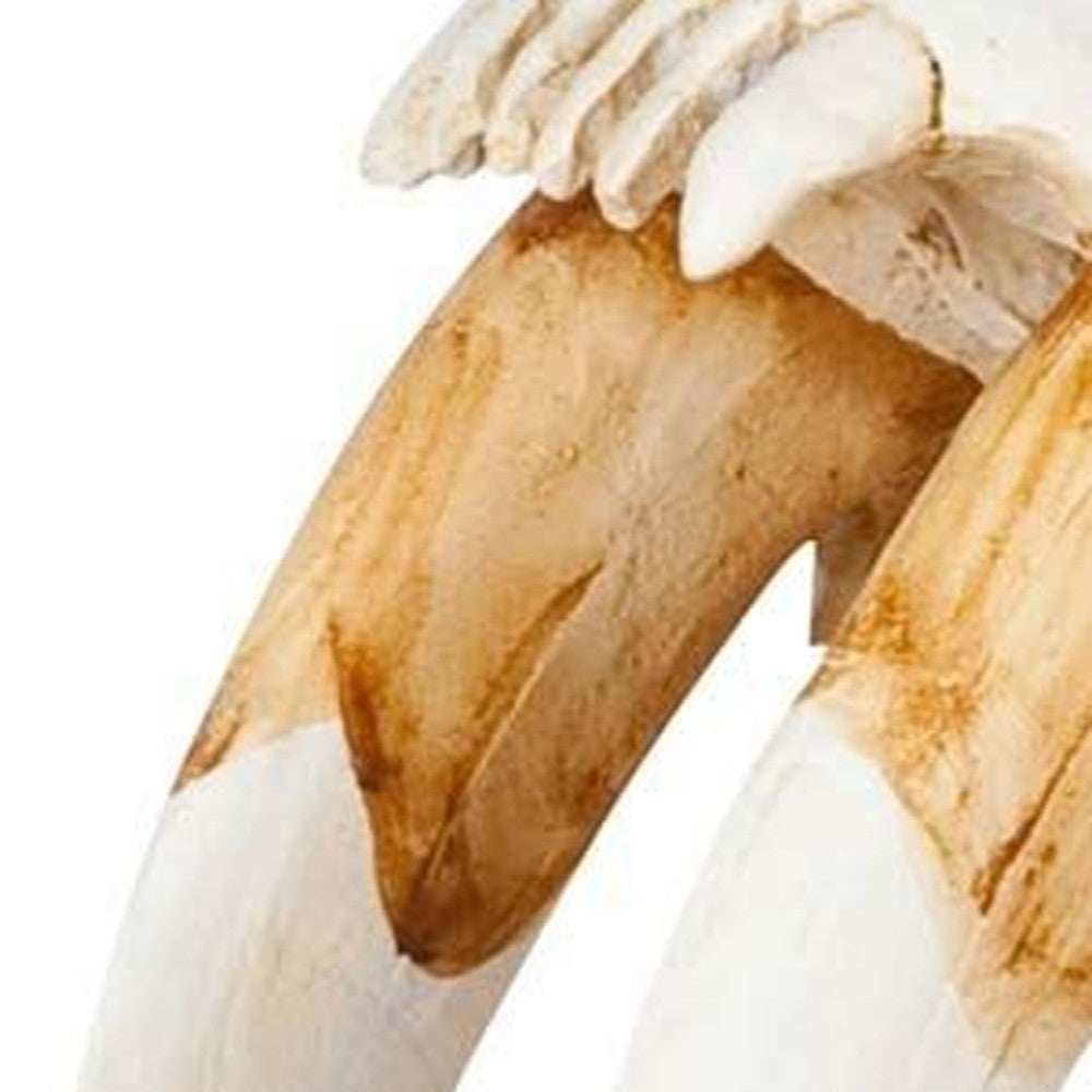 Authentic Replica Sabertooth Skull Sculpture - Homeroots - Flyclothing LLC