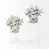 6" White Contempo Coral and Glass Sculpture - Homeroots