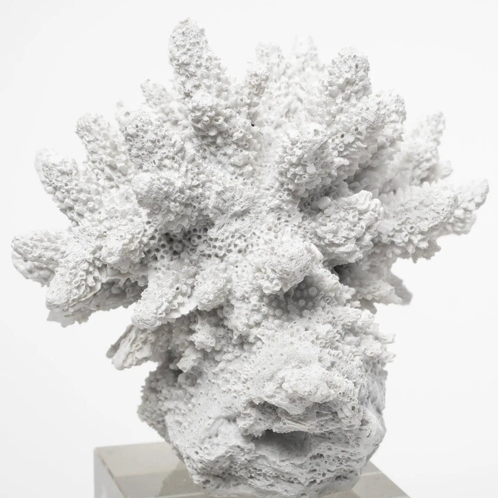 10" White Contempo Coral And Glass Sculpture - Homeroots
