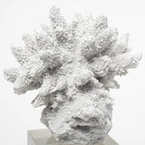 10" White Contempo Coral And Glass Sculpture - Homeroots