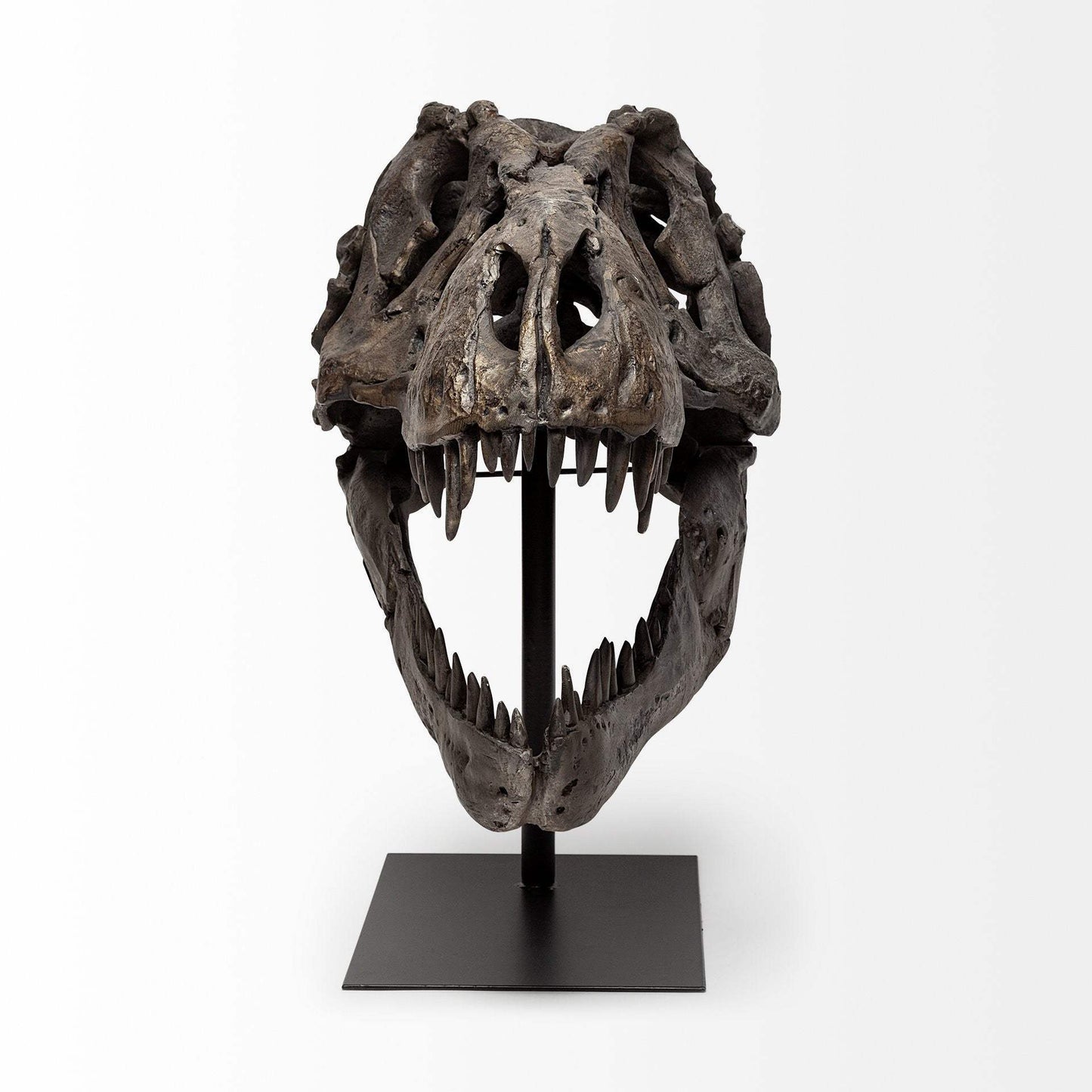 Authentic Replica T Rex Skull Sculpture - Homeroots - Flyclothing LLC