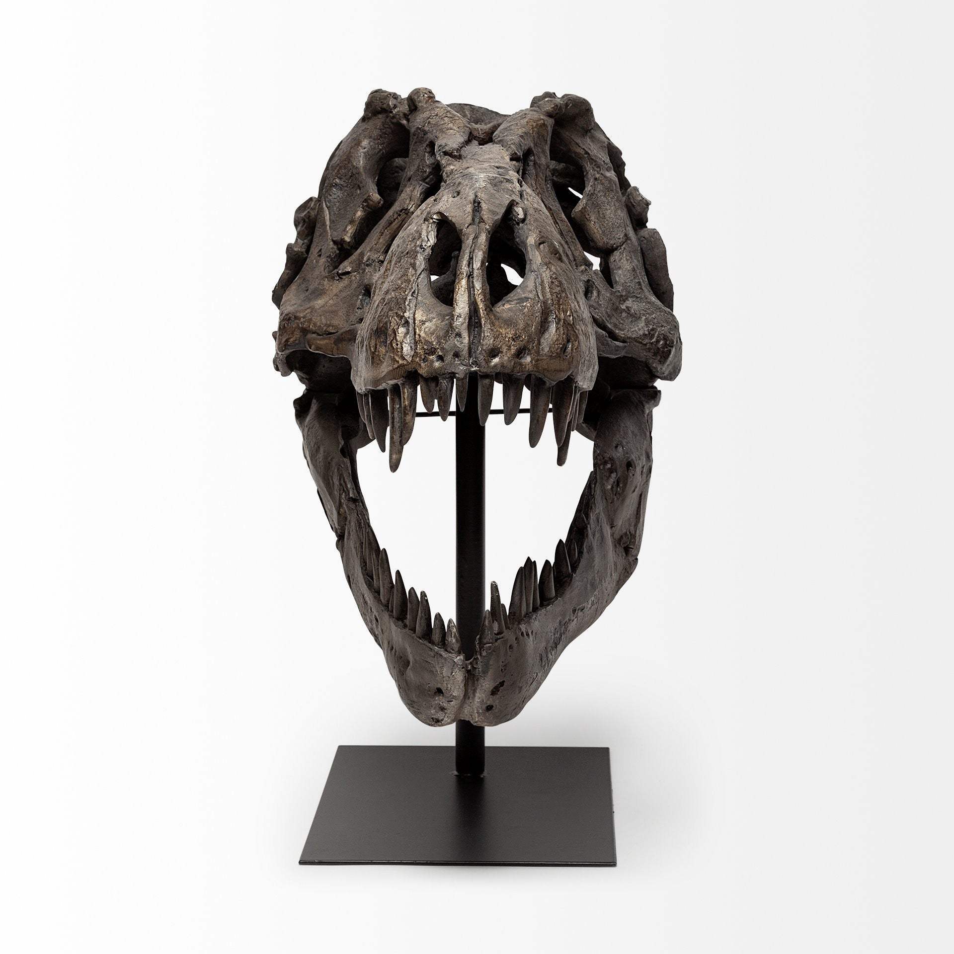 Authentic Replica T Rex Skull Sculpture - Homeroots - Flyclothing LLC