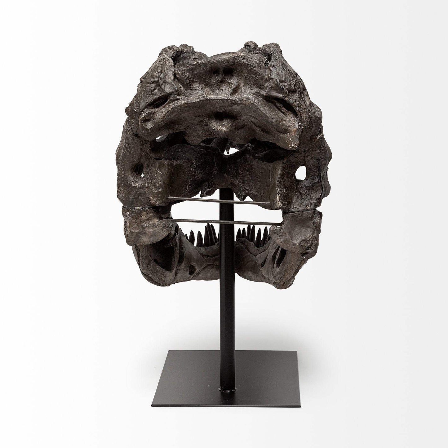 Authentic Replica T Rex Skull Sculpture - Homeroots - Flyclothing LLC