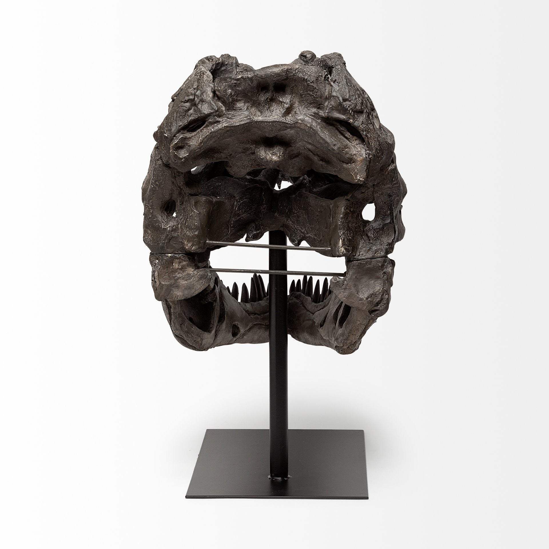 Authentic Replica T Rex Skull Sculpture - Homeroots - Flyclothing LLC