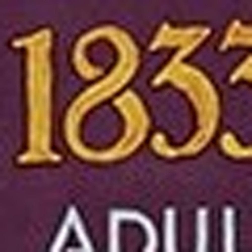 12" x 18" Vintage 1933 Chicago Worlds Fair Wall Art - Homeroots - Flyclothing LLC