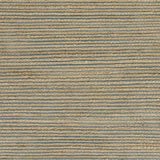 5' X 8' Tan and Blue Undertone Striated Area Rug - Homeroots - Flyclothing LLC